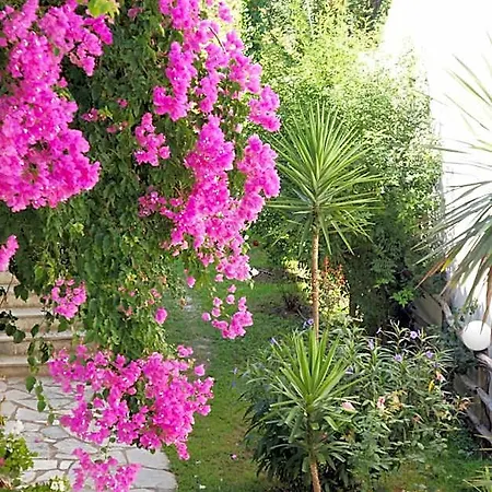 Afroditi 3* Panormos (Skopelos)