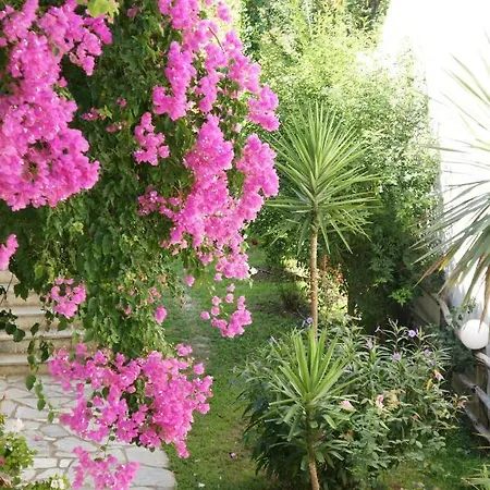 Afroditi Panormos (Skopelos)