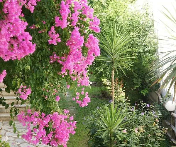 Afroditi Skopelos Town